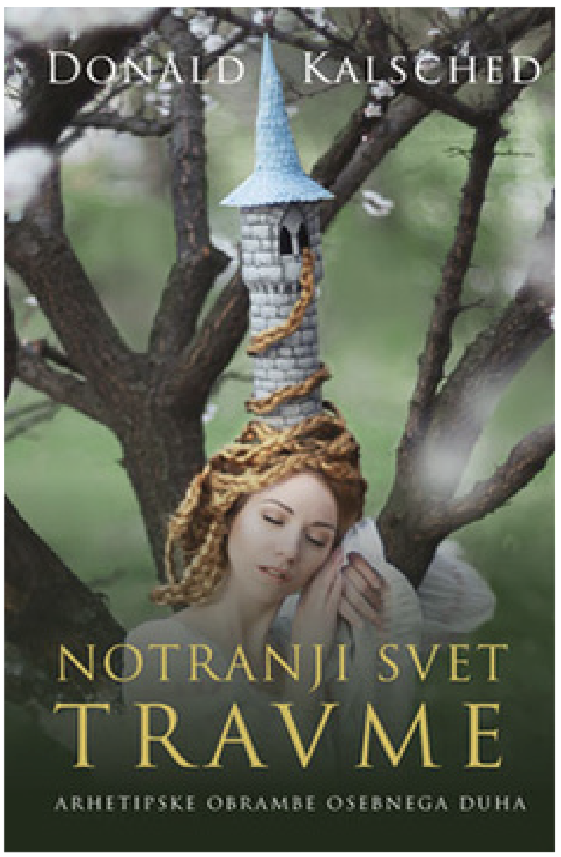 knjiga_puer_aeternus